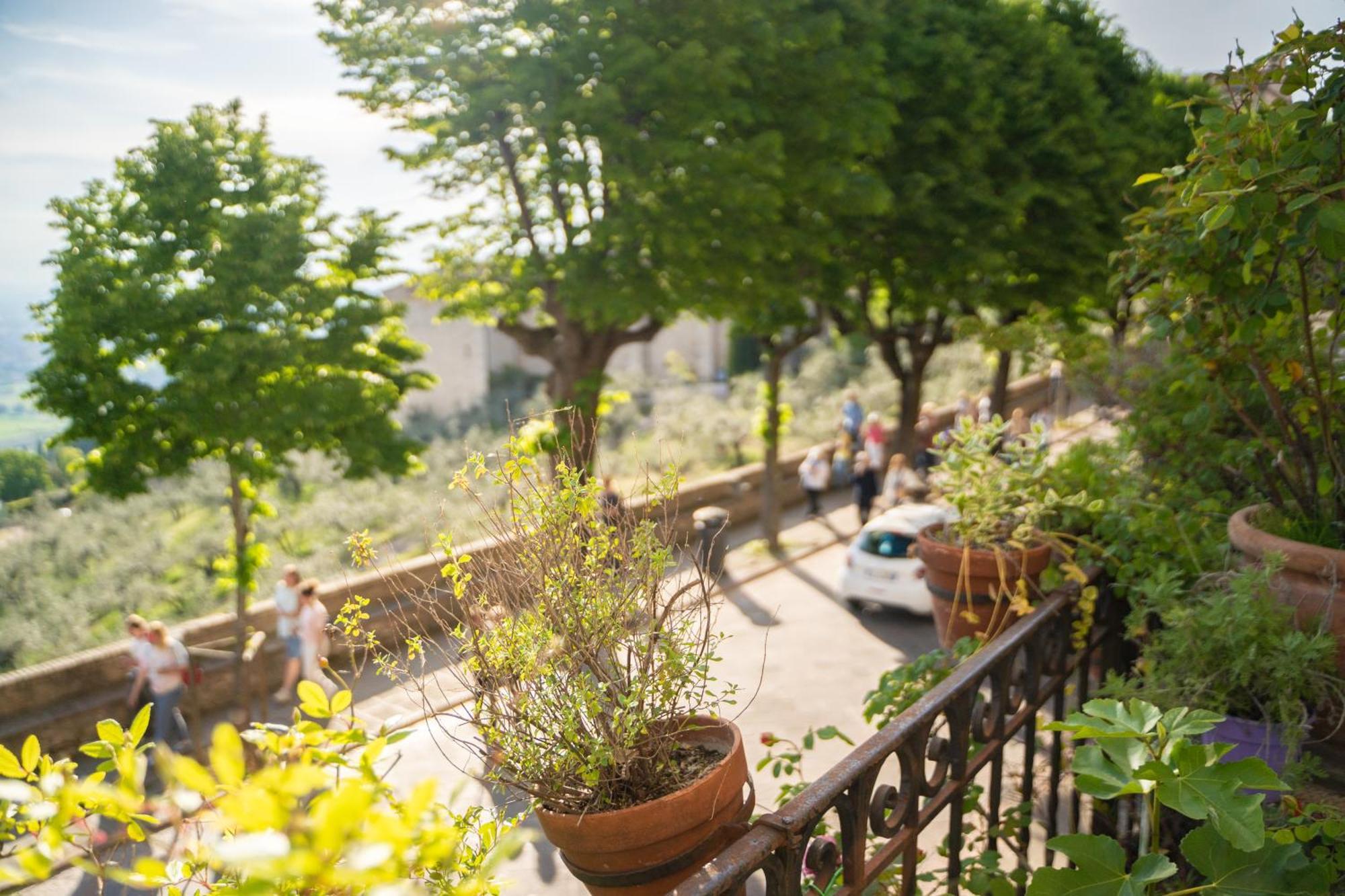 Hotel Belvedere Ασίζη Εξωτερικό φωτογραφία